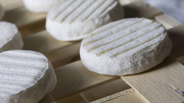 Cabécou de Rocamadour fromage AOP