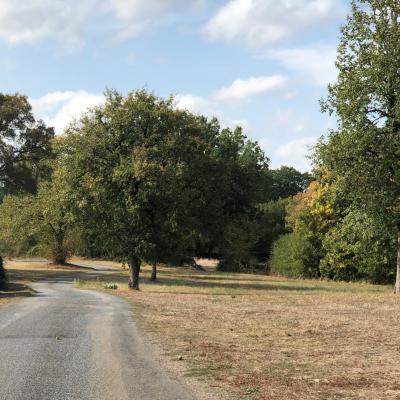 Alentour vers Gramat